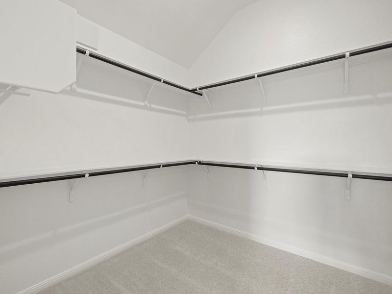 Walk-in closet with light gray carpet flooring, white walls, and built-in black hanging rods with white shelving