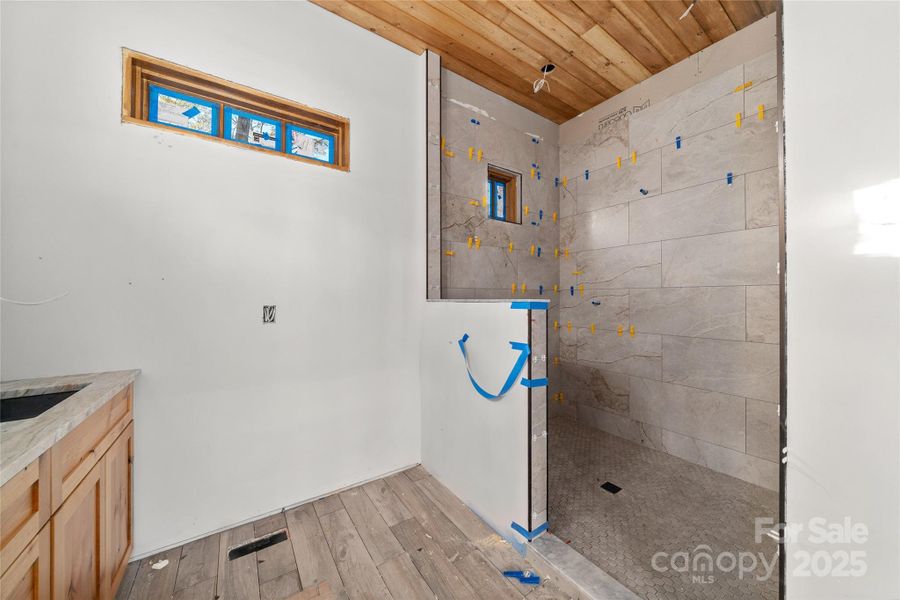Primary Bath/Walk-in Shower
