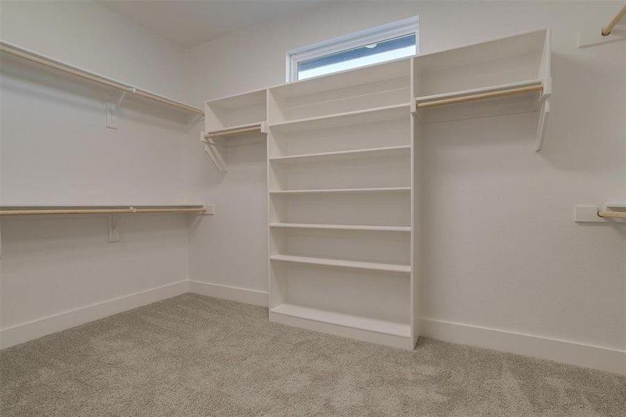 Spacious closet featuring carpet