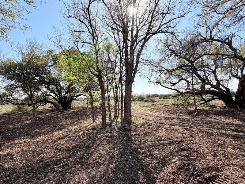 Natural landscape and outdoor views near  in Weatherford (Image 34).