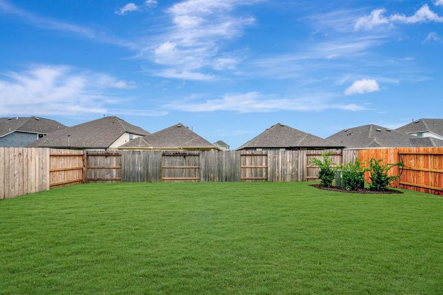 Backyard Backyard