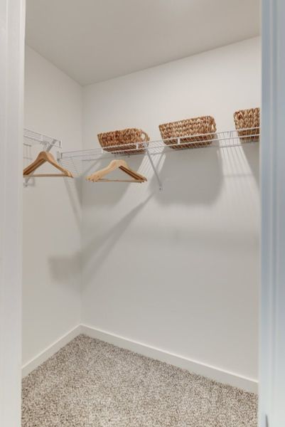 Spacious, unfurnished interior of a new home in The Grove at Kennesaw Farms, Gallatin (Image 21). Spacious, unfurnished interior of a new home in The Grove at Kennesaw Farms, Gallatin (Image 21).