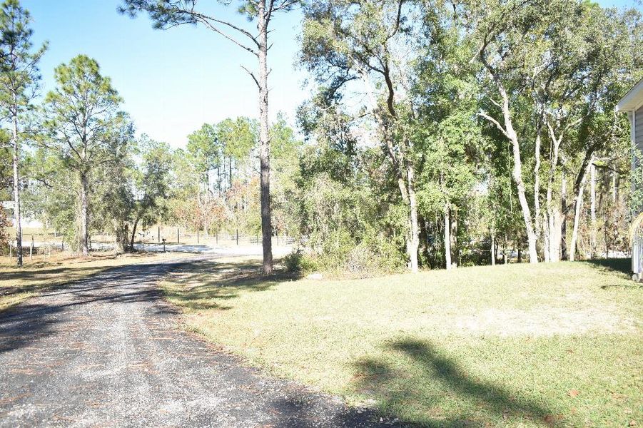 Natural landscape and outdoor views near  in Williston (Image 44).