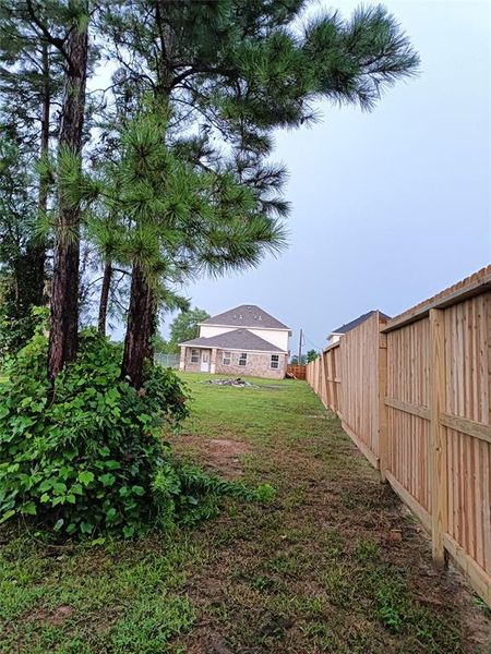 Mature trees at the back of the backyard