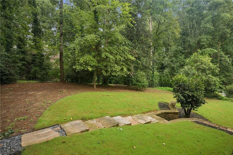 Natural landscape and outdoor views near  in Atlanta (Image 77).