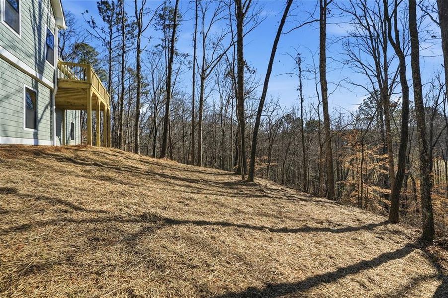 Exterior details and patio area of a home in , Ball Ground (Image 29).