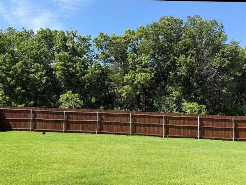 Expansive grassy yard with a rich brown wood fence and mature tree line backdrop