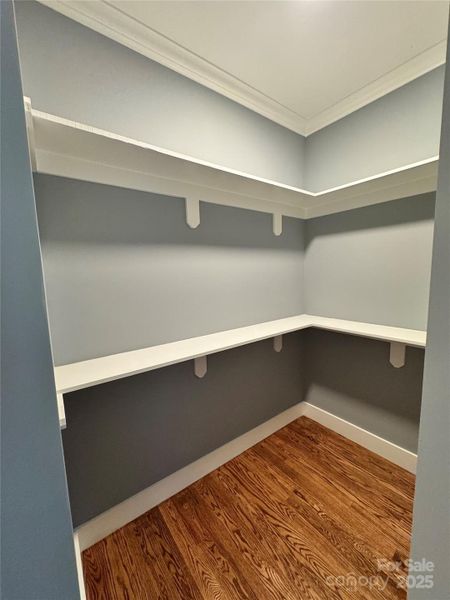 Spacious, unfurnished interior of a new home in , Leicester (Image 14).