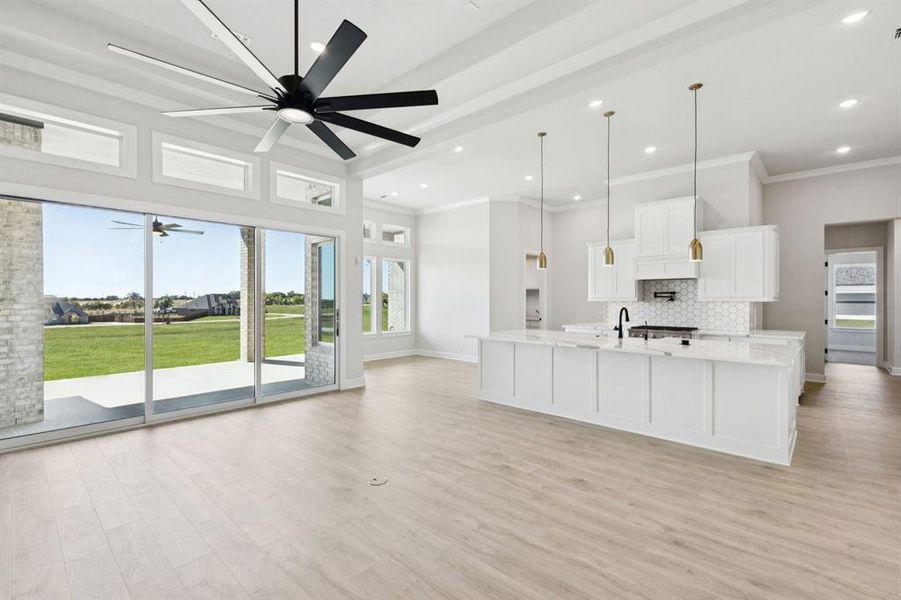 11-121Swan_011 11-121Swan_011