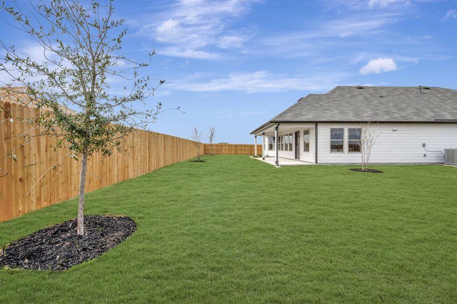Backyard