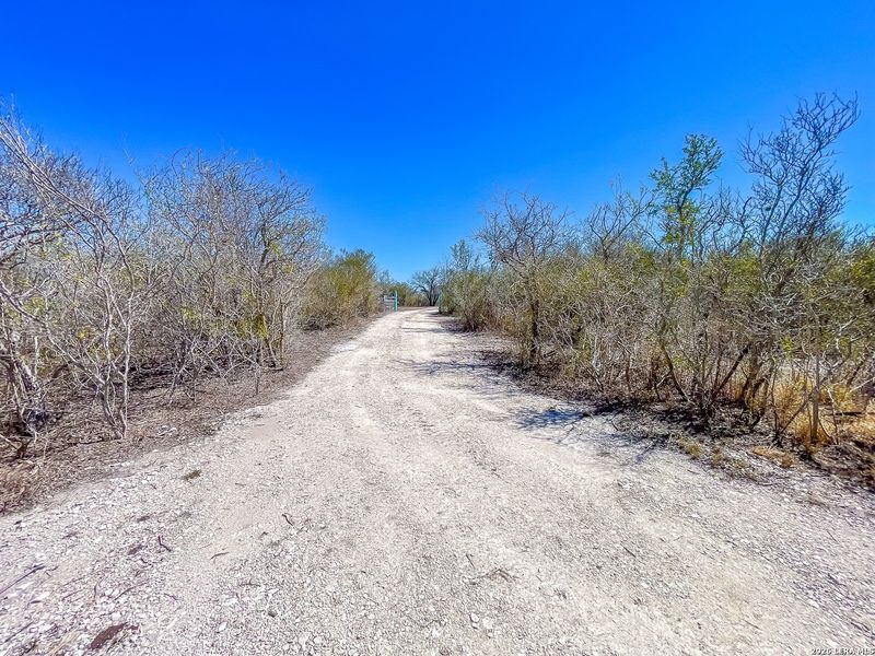 Natural landscape and outdoor views near  in Beeville (Image 16).