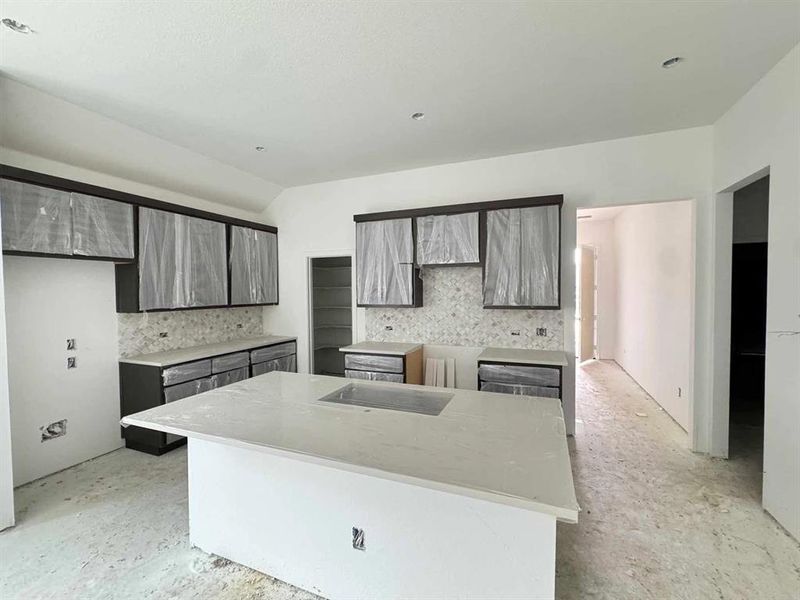 Kitchen Construction Progress featuring the Roosevelt Collection