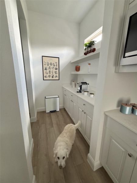 Bright butler's pantry with open shelving, and light wood flooring. It features a small window for natural light and has a cozy, functional feel.