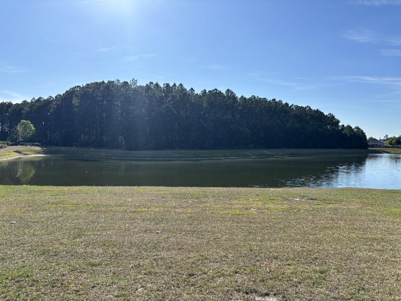 Natural landscape and outdoor views near  in Summerville (Image 8).