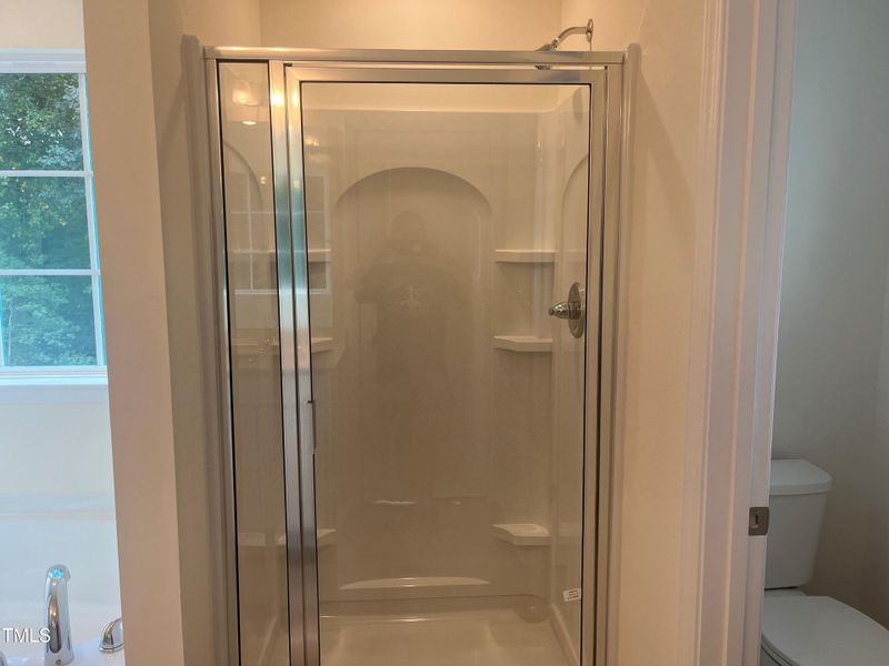 Primary Walk in Shower
