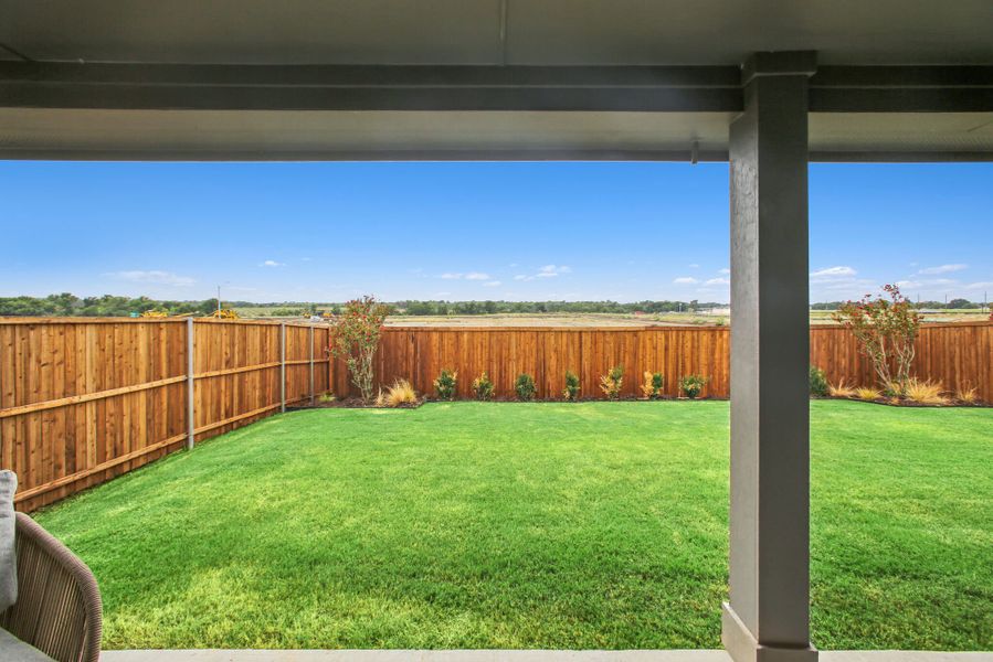 Backyard