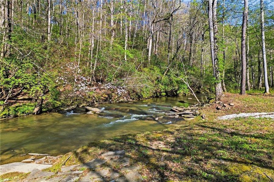 Natural landscape and outdoor views near  in Talking Rock (Image 83).
