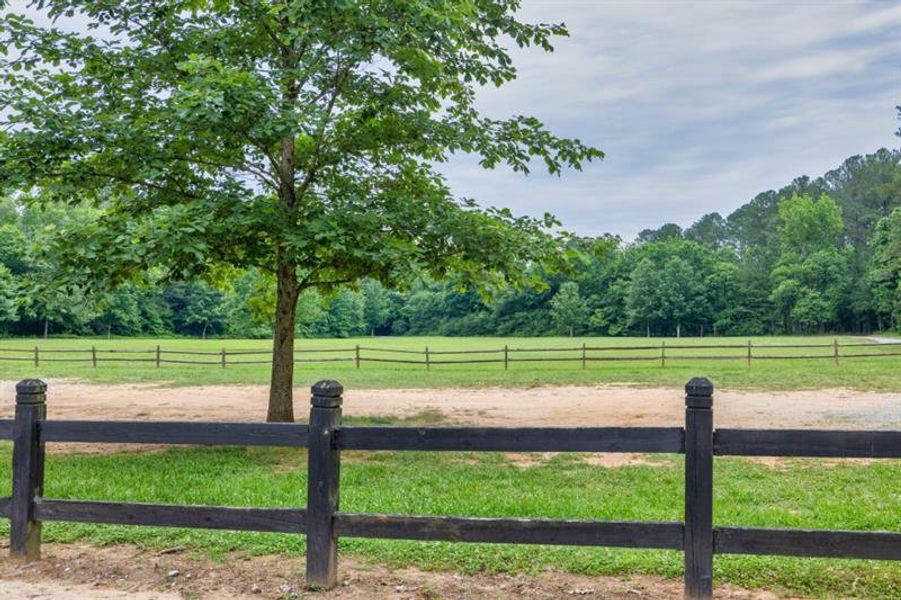 Natural landscape and outdoor views near Livingstone Park in Kennesaw (Image 43).