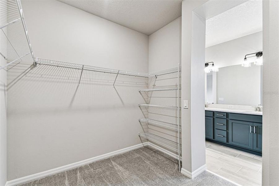 Spacious, unfurnished interior of a new home in Oakfield at Mount Dora Village Series, Mount Dora (Image 36).