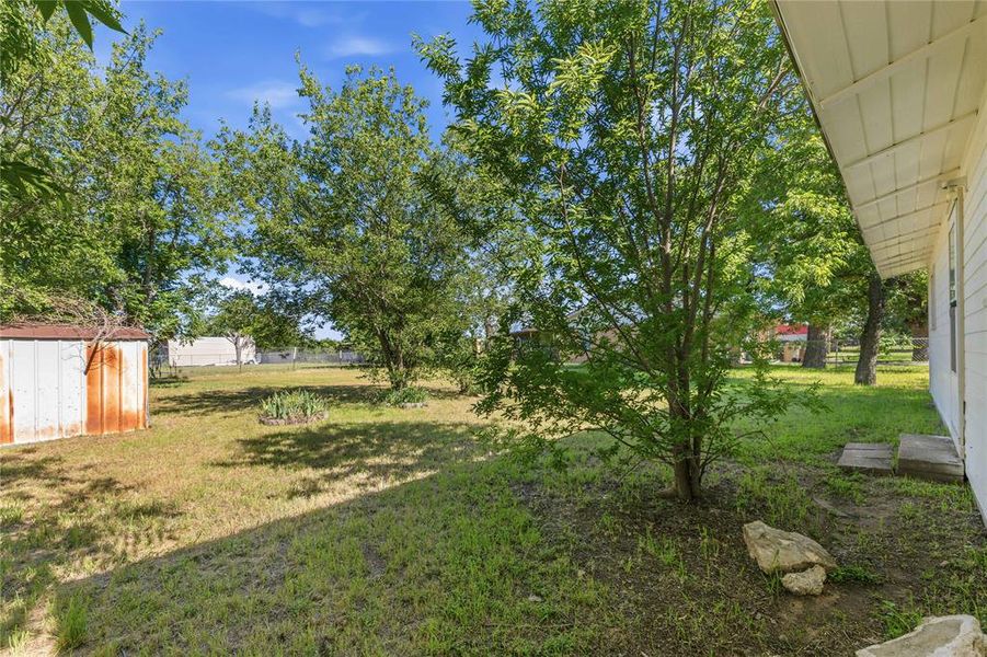 fenced yard