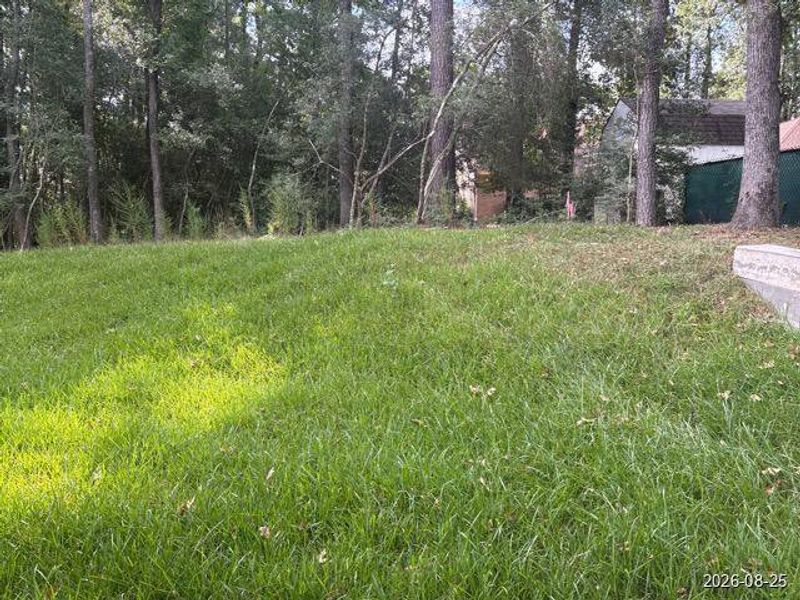 Natural landscape and outdoor views near  in Huntsville (Image 30).