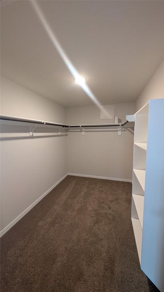 Primary walk in closest