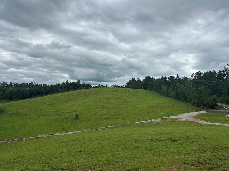 Natural landscape and outdoor views near  in Bowdon (Image 36).