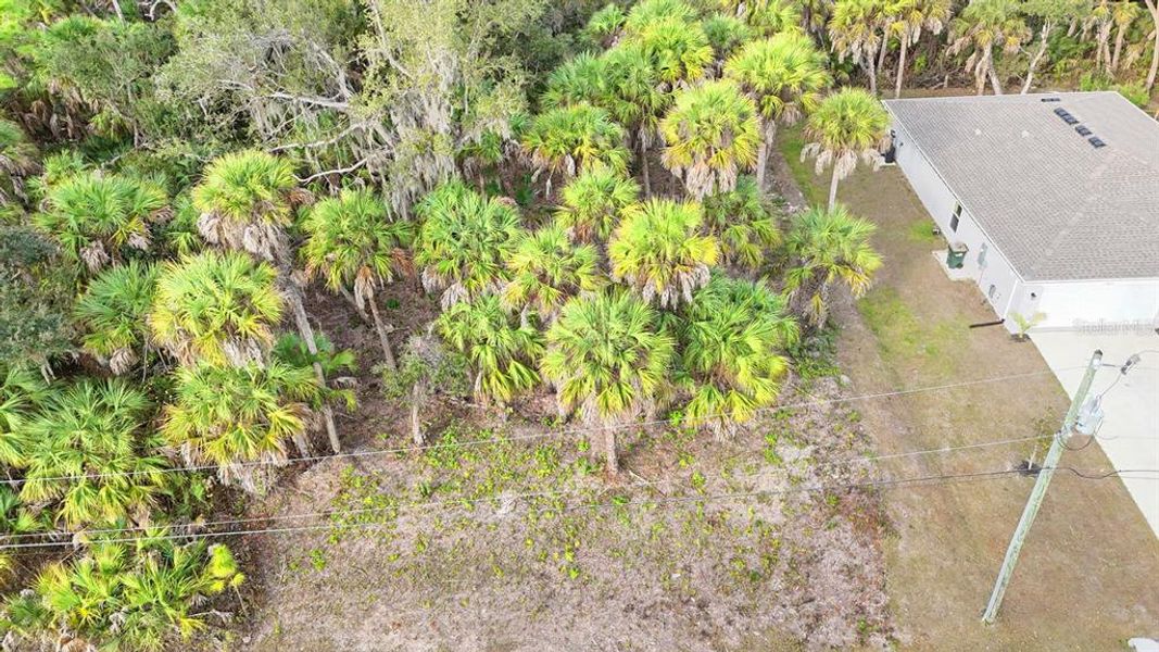 Natural landscape and outdoor views near  in North Port (Image 43).