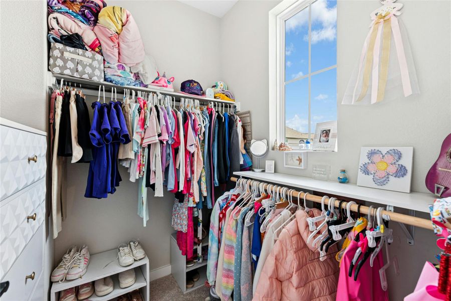 Walk in closet with carpet flooring