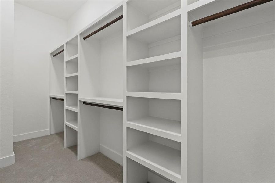Spacious closet featuring carpet Spacious closet featuring carpet