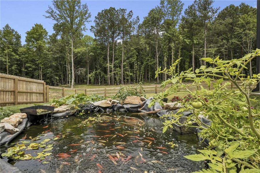 Natural landscape and outdoor views near in Winder (Image 64). Natural landscape and outdoor views near in Winder (Image 64).