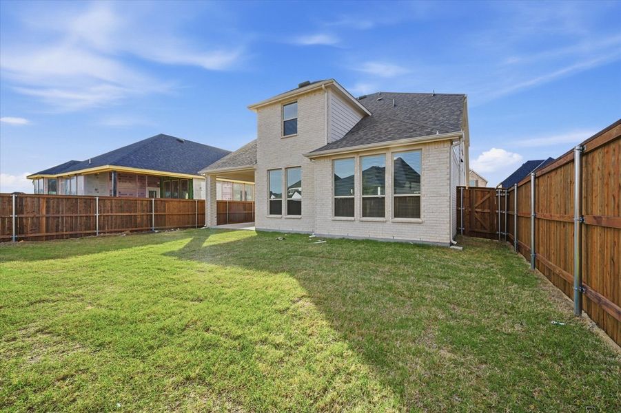 Backyard