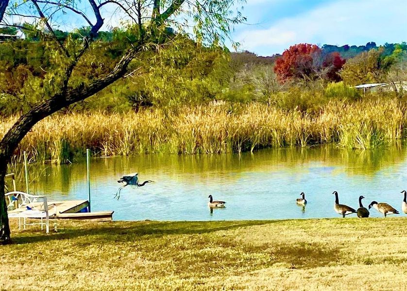 Serene & varied nature as far as you can see Serene & varied nature as far as you can see