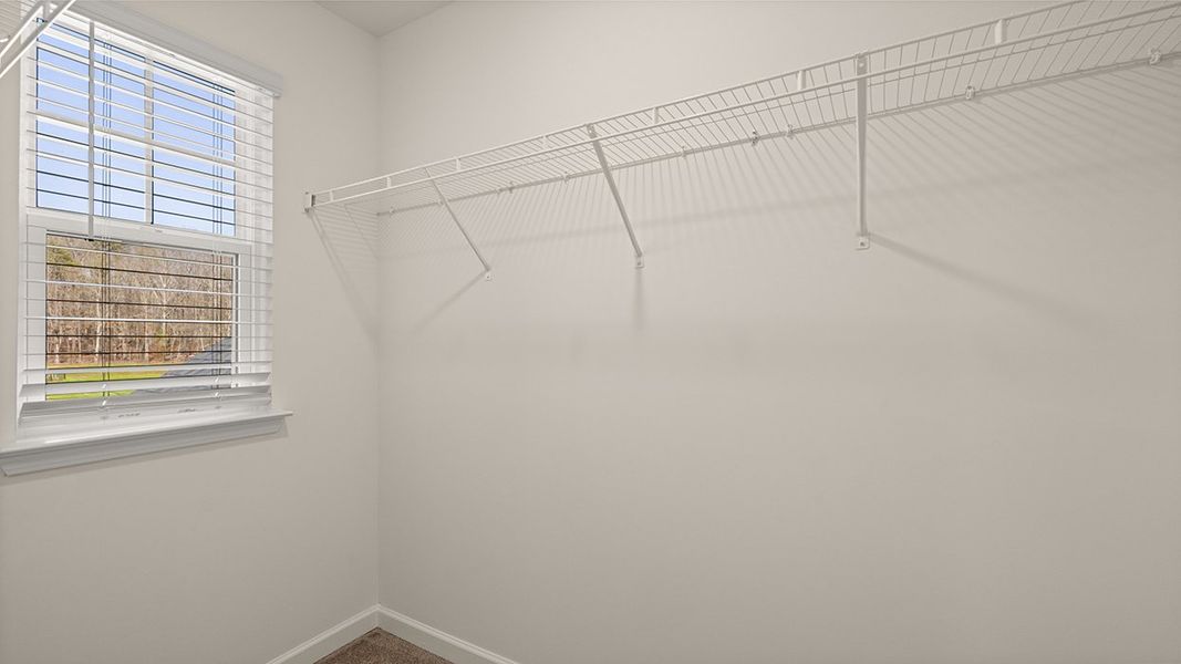 Spacious, unfurnished interior of a new home in Westland, Bogart (Image 31).