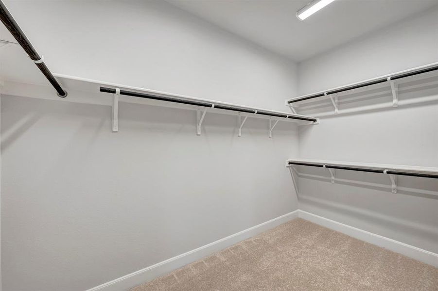 Walk in closet with light carpet