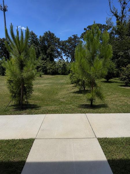 Natural landscape and outdoor views near  in Tampa (Image 33).