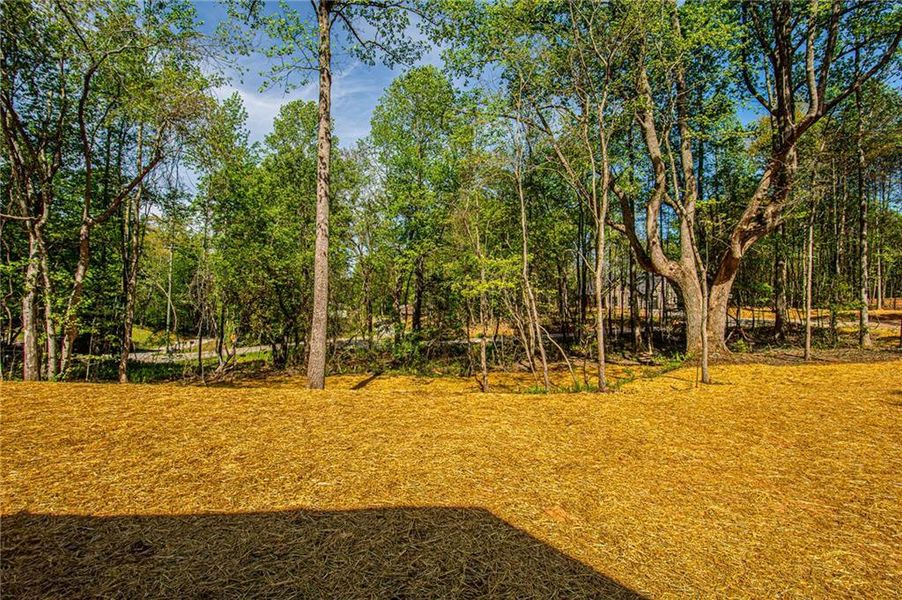 Natural landscape and outdoor views near  in Dawsonville (Image 44).