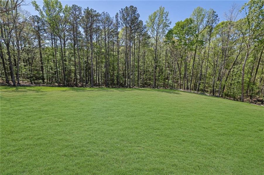 Natural landscape and outdoor views near  in Monroe (Image 78).