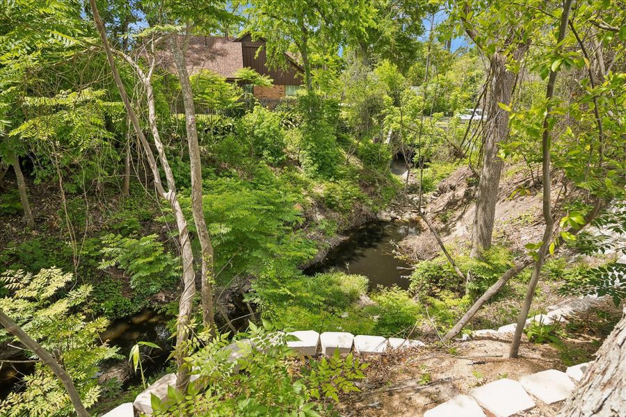 View of the wooded ravine showcasing the extended retaining wall & enhanced drainage improvements. Thoughtful grading supports the backyard above while preserving the natural landscape. GORGEOUS!!!!