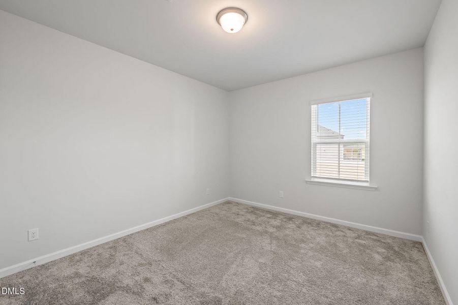 35-web-or-mls-P1119314