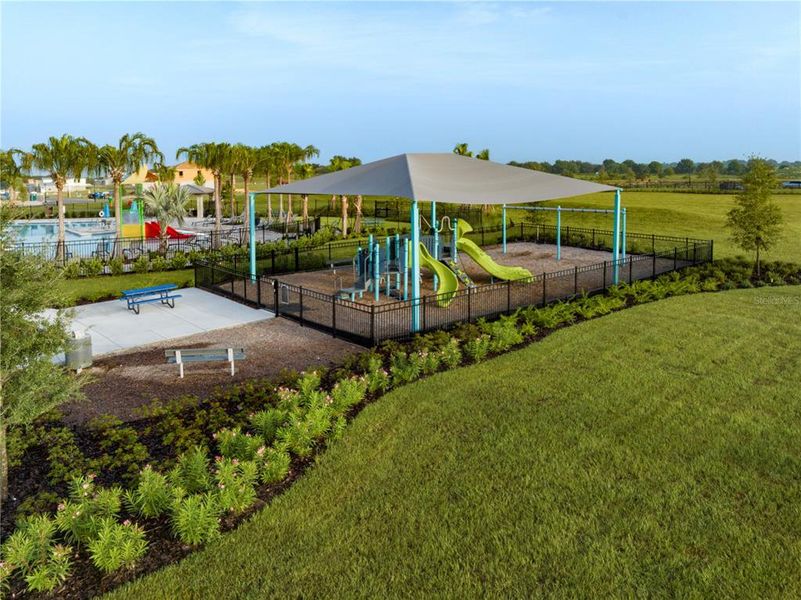 Community amenities in Trinity Lakes, Groveland (Image 19).