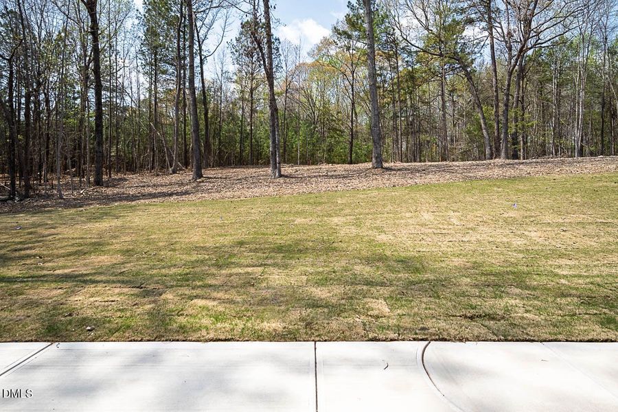 1616 River Bend Ln exterior-8