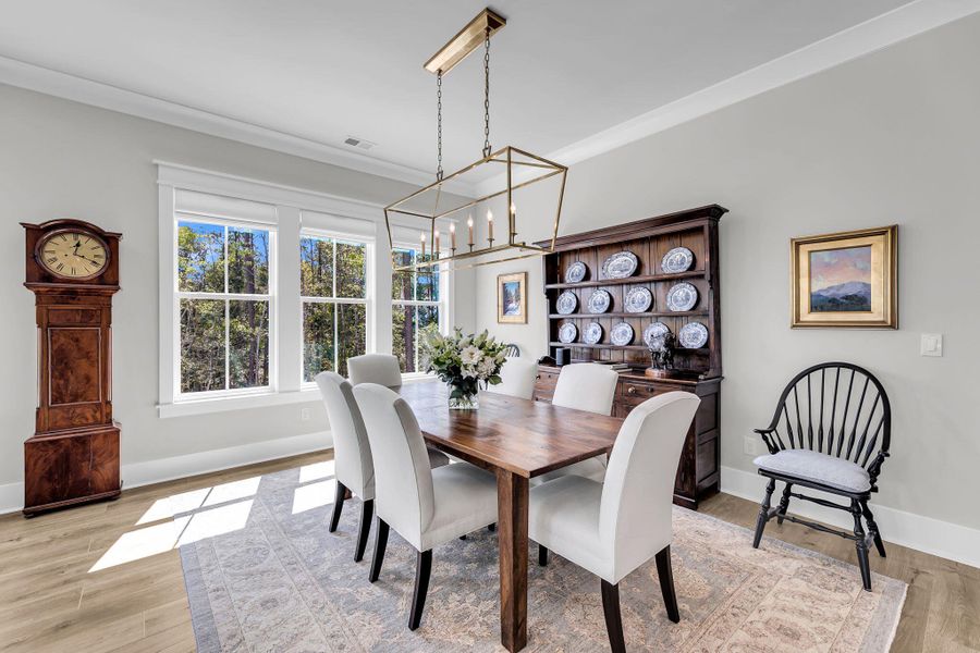 Furnished interior view inside a new home in Carolina Park: Riverside, Mount Pleasant (Image 53).