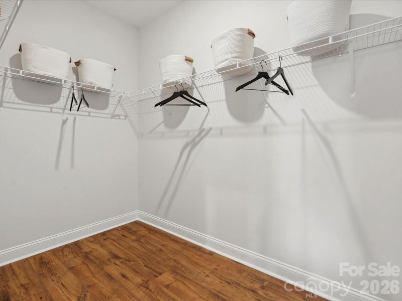 Photo is of Model and for representational purposes only