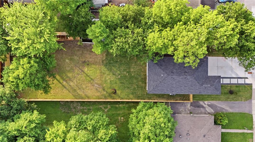 Natural landscape and outdoor views near  in Dallas (Image 32).