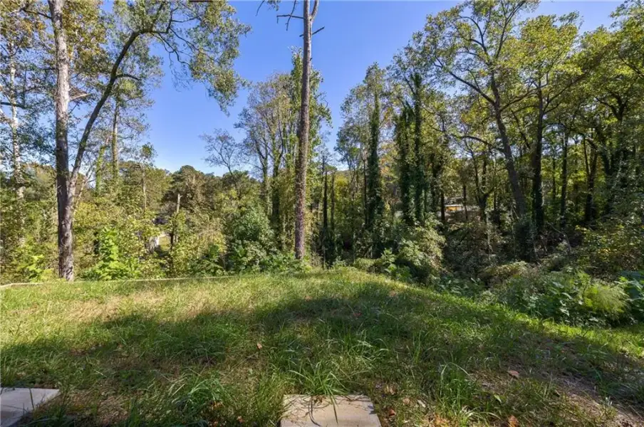 Natural landscape and outdoor views near  in Hapeville (Image 39).