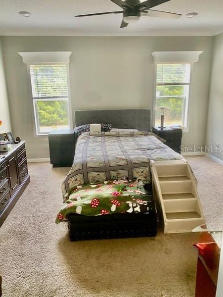 Furnished interior view inside a new home in , Bell (Image 6).