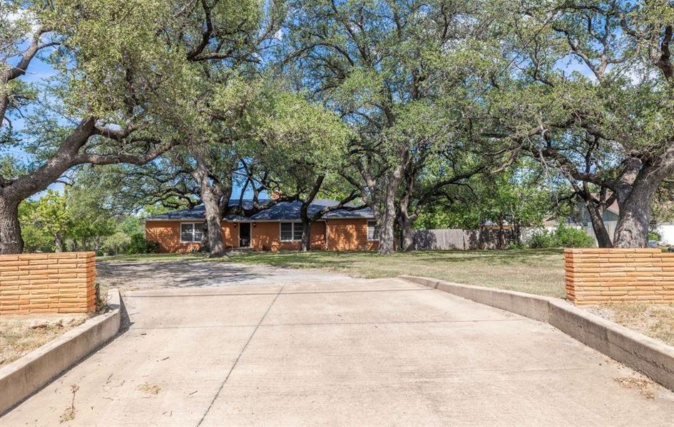 View of concrete driveway