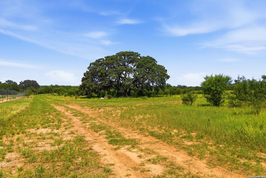 Natural landscape and outdoor views near  in Sabinal (Image 64).