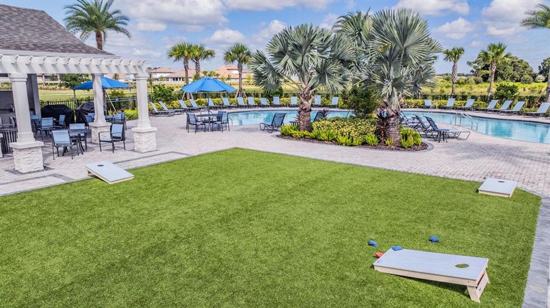 Community amenities in , Wesley Chapel (Image 23). Community amenities in , Wesley Chapel (Image 23).